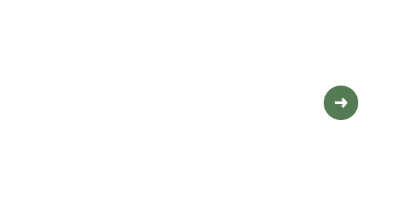 bnrhalf_works_off